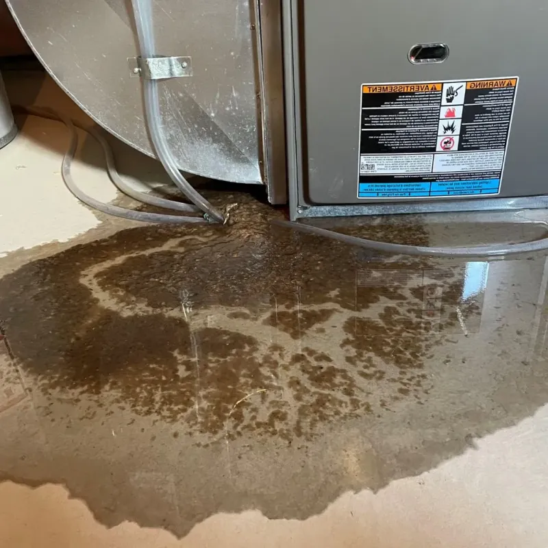 Pipe Burst and Leak Restoration in Lea County, NM