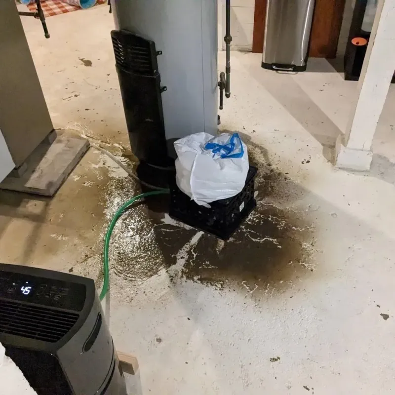 Sewage Backup Cleanup Service in Lea County, NM